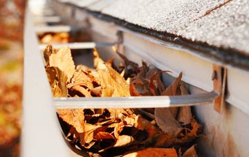 Cold Well gutter cleaning companies